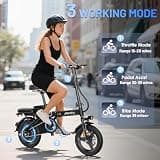 RPINT 14-Inch Mini Folding Electric Commuter Bike, 740W Motor, 48V 10Ah