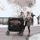 Keenz Viva Compact 4-Passenger Stroller Wagon with Breathable Mesh Side Panels