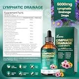 VivoNu 21-in-1 Liposomal Lymphatic Drainage Drops with Kelp and Fucoxanthin
