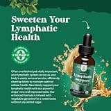 Natures Craft Organic Lymphatic Support Drainage Drops, Daily Immune Booster Liquid, 2 oz