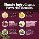 Advanced Kidney Support Detox & Repair Cranberry Extract Capsules, 240 Count