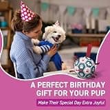 QDAN 6-Inch Interactive Dog Soccer Ball with Durable Nylon Grip Straps