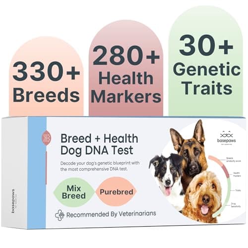 DNA My Dog Essential + Health DNA Test Kit - Breed Identification & Trait Profile
