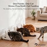 ePawDen Cordless Rechargeable Microchip Cat Feeder with Stainless Bowl
