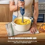 Ninja Power Duo Immersion Blender with RapidWhisk and SmartTorque Motor