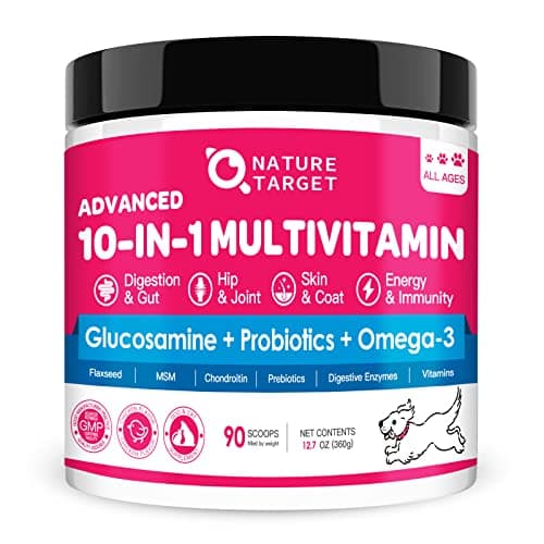 The 7 Best Supplements for Homemade Dog Food of 2026