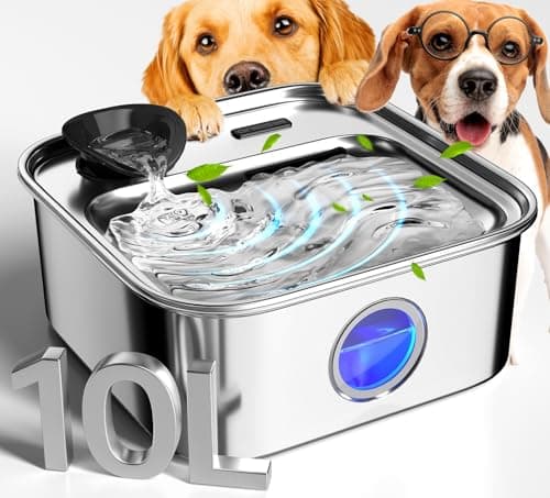 The 7 Best Dog Water Fountains of 2026