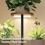 Homsorout 4-Tier Heavy-Duty Metal Indoor Plant Rack with Adjustable Grow Light