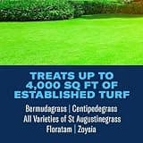 BioAdvanced 3-In-1 Weed and Feed Granular Fertilizer Treatment for Southern Lawns