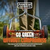 American Lawn Mower Company 1204-14 14-Inch 4-Blade Push Reel Lawn Mower