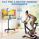 SYLVOX 43-Inch Deck Pro 3.0 4K UHD Weatherproof Smart Outdoor Television