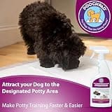 PoochPad Indoor and Outdoor Potty Training Attractant Spray for Dogs & Puppies, 16 oz