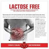 MuscleMeds CARNIVOR Beef Protein Isolate Powder, Sugar-Free, Chocolate