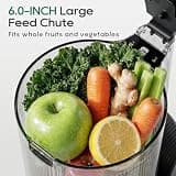Canoly C16 Cold Press Masticating Juicer with 6-Inch Extra-Wide Chute
