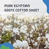 Queen Sleeper Sofa Bed Sheet Set, 100% Egyptian Cotton, 600 Thread Count