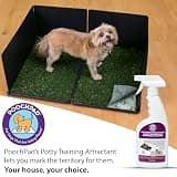 PoochPad Indoor and Outdoor Potty Training Attractant Spray for Dogs & Puppies, 16 oz