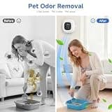 Compact Plug-In Ionic Air Freshener and Cat Litter Deodorizer for Small Musty Rooms
