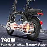RPINT 14-Inch Mini Folding Electric Commuter Bike, 740W Motor, 48V 10Ah