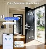 Veise VE012W-B Built-in Wi-Fi Fingerprint Smart Lock with Handle Set