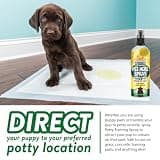 Bodhi Dog Natural Eco-Friendly Potty Training Attractant Spray for Puppies, 8 oz