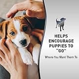 Nature's Miracle Advanced Platinum Concentrated Puppy Potty Training Spray, 8 oz
